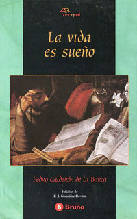 LA VIDA ES SUEŸO