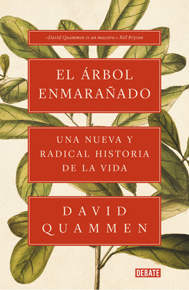 EL ARBOL ENMARAÑADO