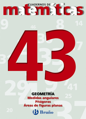 CUAD. MATEMATICAS N.43 - ED. 2002