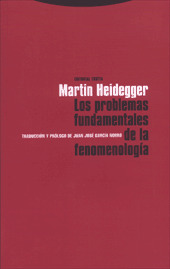 PROBLEMAS FUNDAMENTALES FENOMENOLOGIA