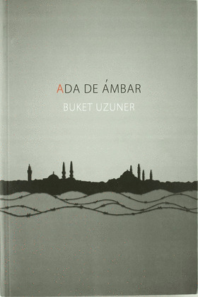 ADA DE AMBAR