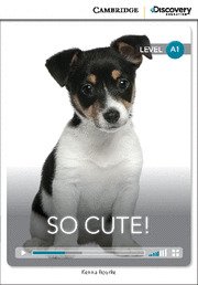 CAMBRIDGE DISCOVERY A1 - SO CUTE! BEGINNING BOOK WITH ONLINE ACCESS