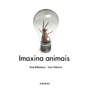IMAXINA ANIMAIS