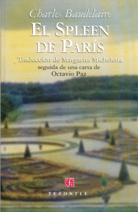 SPLEEN DE PARIS