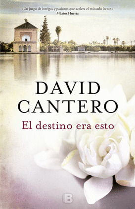 EL DESTINO ERA ESTO