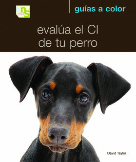 EVALUA EL CI DE TU PERRO