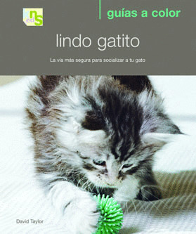 LINDO GATITO