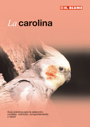 CAROLINA, LA
