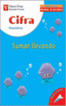 CUAD CIFRA Nº4 SUMAR LLEVANDO