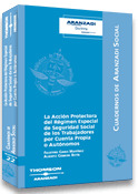 ACCION PROTECTORA REGIMEN ESPECIAL DE LA SEGURIDAD