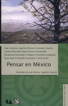 PENSAR EN MEXICO