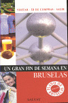 BRUSELAS. GUIA UN GRAN FIN DE SEMANA EN... (2008)