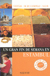 ESTAMBUL. GUIA UN GRAN FIN DE SEMANA EN... (2008)