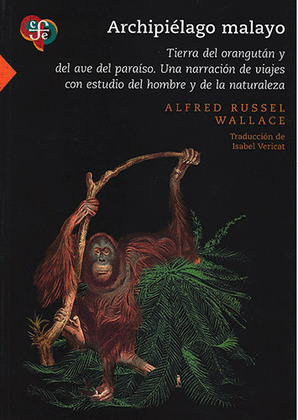 ARCHIPIÉLAGO MALAYO. TIERRA DEL ORANGUTAN Y DEL AVE DEL PARAÍSO
