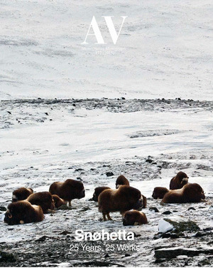 SNØHETTA :25 YEARS, 25 WORKS