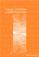 PRODUCCION E INCERTIDUMBRE EN EQUILIBRIO GENERAL DINAMICO