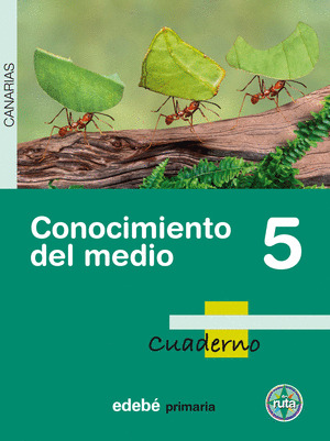 PROYECTO EN RUTA, CONOCIMIENTO DEL MEDIO, 5 EDUCACIÓN PRIMARIA (CANARIAS). CUADE