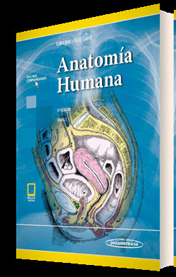 LATARJET:ANATOMÍA HUMANA 5ED. T2 +E