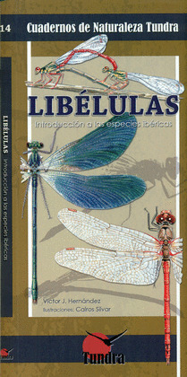 LIBÉLULAS