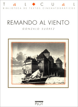 REMANDO AL VIENTO