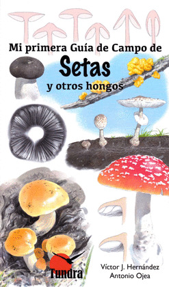 MI PRIMERA GUÍA DE CAMPO DE SETAS Y OTROS HONGOS
