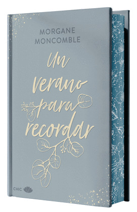 VERANO PARA RECORDAR, UN (EDICIÓN ESPECIAL LIMITADA CON CANTOS PINTADOS)