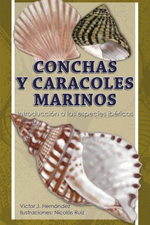 CONCHAS Y CARACOLES MARINOS (DESPLEGABLE)