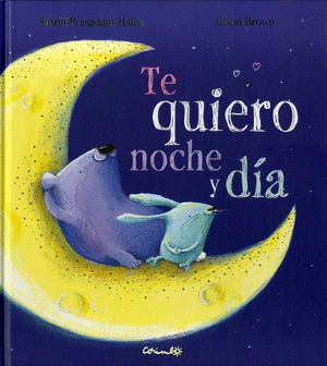TE QUIERO NOCHE Y DIA