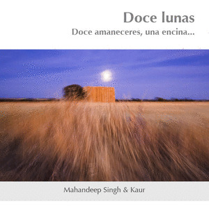 DOCE LUNAS