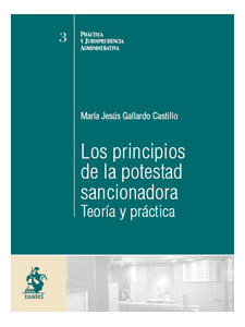 PRINCIPIOS DE LA POTESTAD SANCIONADORA, LOS