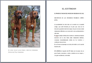 RHODESIAN RIDGEBACK