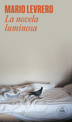 NOVELA LUMINOSA, LA