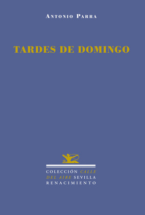 TARDES DE DOMINGO