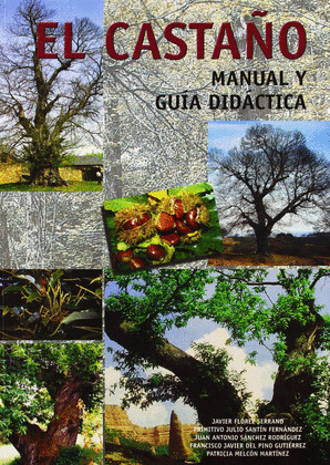 EL CASTAÑO