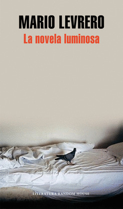 LA NOVELA LUMINOSA