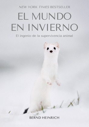 MUNDO EN INVIERNO, EL