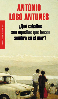QUE CABALLOS SON AQUELLOS QUE HACEN SOMBRA