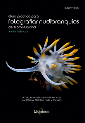 GUIA PRACTICA PARA FOTOGRAFIAR NUDIBRANQUIOS DEL LITORAL ESPAÑOL