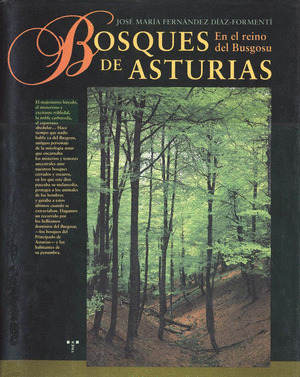 BOSQUES DE ASTURIAS