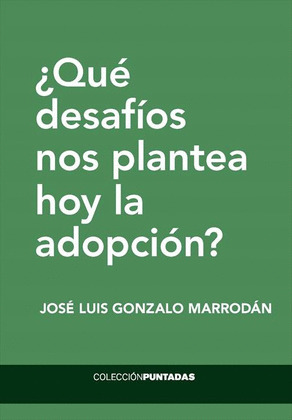 ¿QUÉ DESAFÍOS NOS PLANTEA HOY LA ADOPCIÓN?