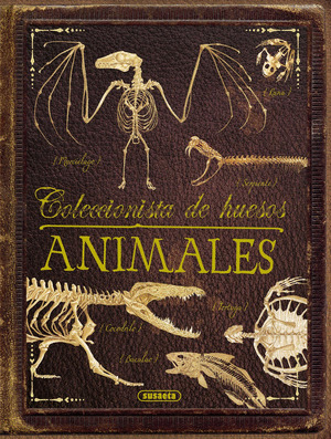 COLECCIONISTA DE HUESOS ANIMALES