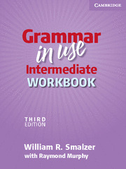 GRAMMAR IN USE INTERMEDIATE WB. (3RD ED.WITHOUT AN