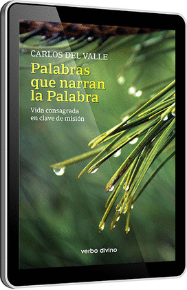 PALABRAS QUE NARRAN LA PALABRA