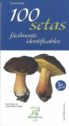100 SETAS FÁCILMENTE IDENTIFICABLES