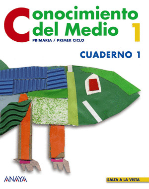 (07).CUAD.CONOCIMIENTO 1-1O.PRIM.(SALTA A LA VISTA