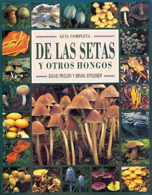 GUIA COMPLETA SETAS Y HONGOS