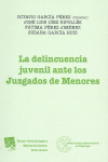 DELINCUENCIA  JUVENIL ANTE LOS JUZGADOS DE MENORES, LA