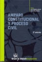 AMPARO CONSTITUCIONAL Y PROCESO CIVIL