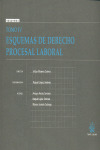 ESQUEMAS DE DERECHO PROCESAL LABORAL -IV-