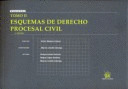TOMO II ESQUEMAS DE DERECHO PROCESAL CIVIL
